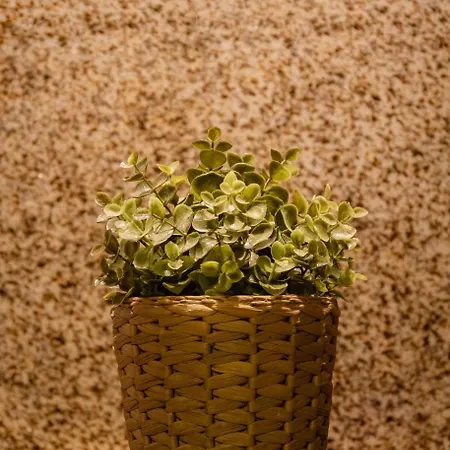 Casa Abraao By Al * Belmonte (Castelo Branco)