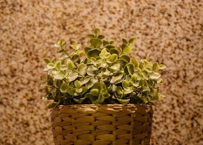 Casa Abraao By Al * Belmonte (Castelo Branco)